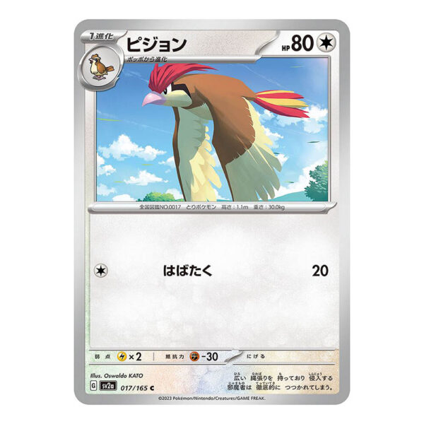 017-165 Pidgeotto Comune (JP) - MINT